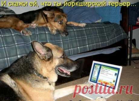 Интересные новости