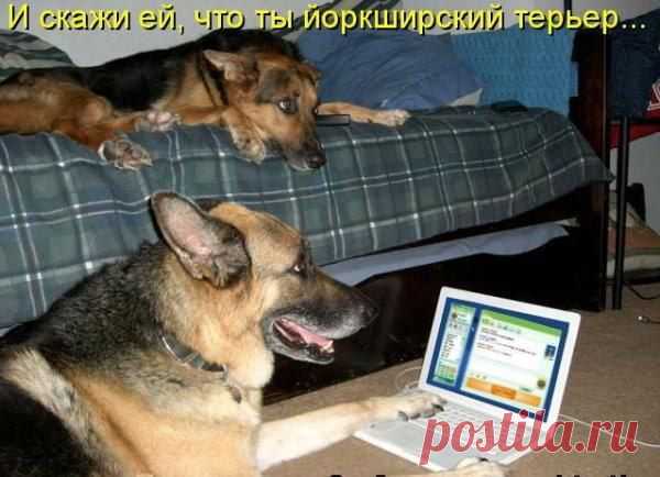 Интересные новости