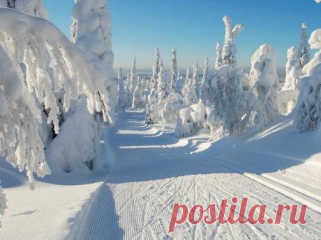 Google+
