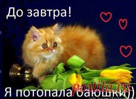 СПОКОЙНОЙ НОЧИ, ДРУЗЬЯ !!! СЛАДКИЕ СНЫ И ПОКОЙ БЕЗМЯТЕЖНЫЙ, НАС ОЖИДАЮТ С ТОБОЙ!!!
ПРИЛЯГ, РАССЛАБЬСЯ И ПОСПИ!
АНГЕЛА-ХРАНИТЕЛЯ ВАМ!!!
Ночь опустилась на город,
Луна поднялась в небеса.
И вновь настало то время,
Когда ты можешь мечтать.
Ну, вот уже полночь пробила,
Все мечты оживают в ночи)))