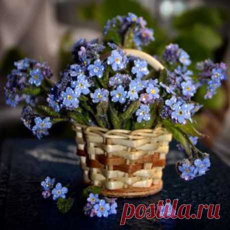...Храните ДУШУ,..человеки...ЖИЗНЬ без неё - Лишь ЭХА..звук... 
С. Аксёнов