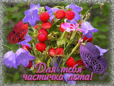 я лето подарю