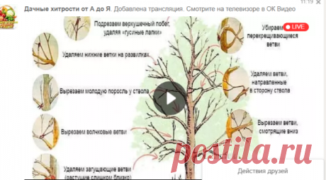 Одноклассники