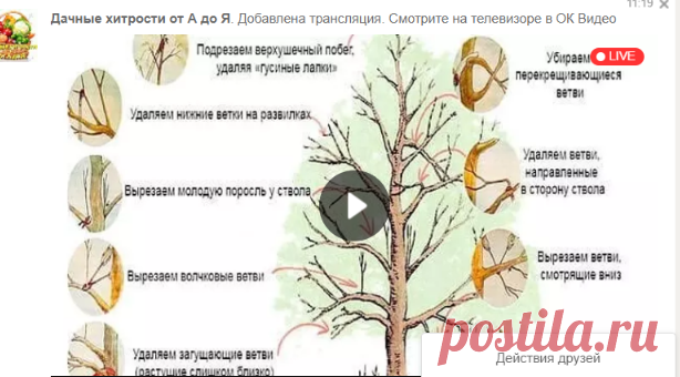 Одноклассники