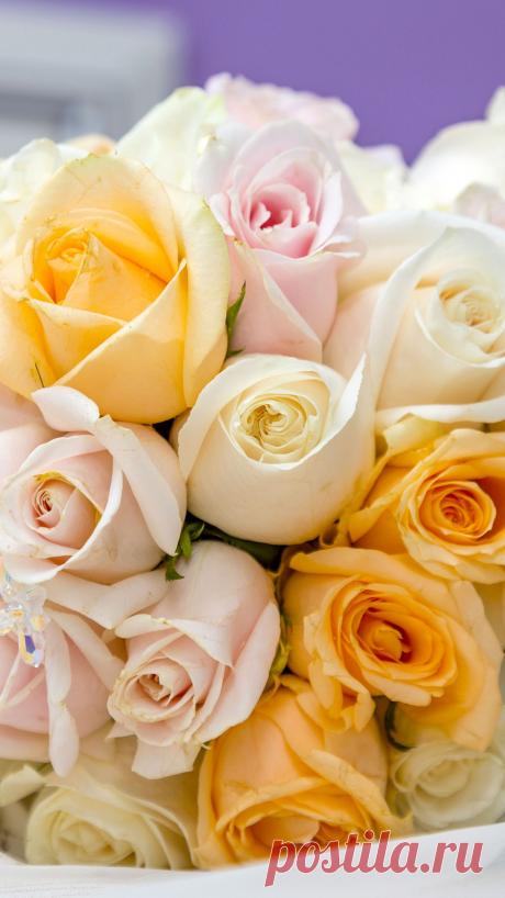 Фото букета роз скачать обои на заставку телефона.