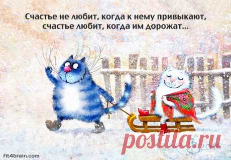 Счастье – это… – Фитнес для мозга