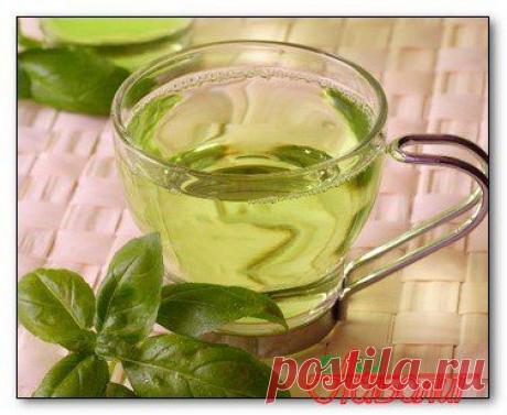 Применение элеутерококка и эвкалипта в медицине