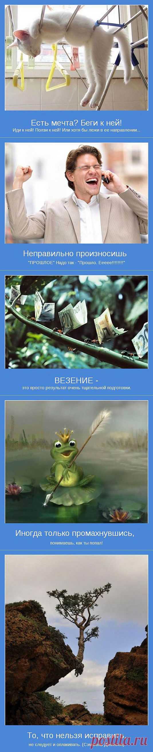Давайте жить по -новому (мотиваторы в каритинках)..