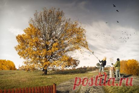 Невероятные фотографии - запись пользователя Пиноккио (Лидия( Мурзилка)) в сообществе Болталка в категории Истории в картинках
