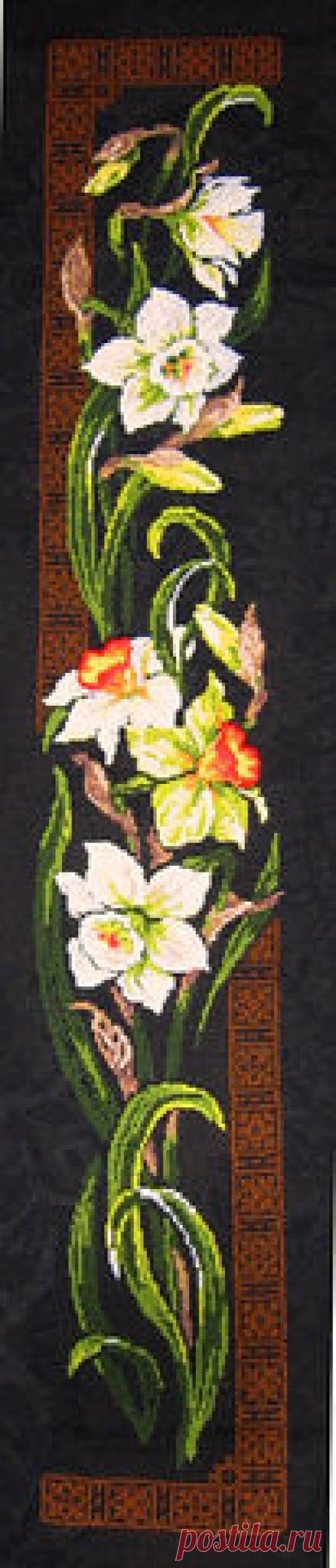 Риолис, нарциссы