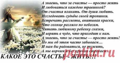 (41) Одноклассники
