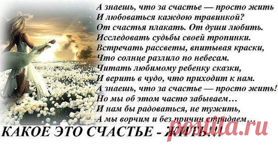 (41) Одноклассники