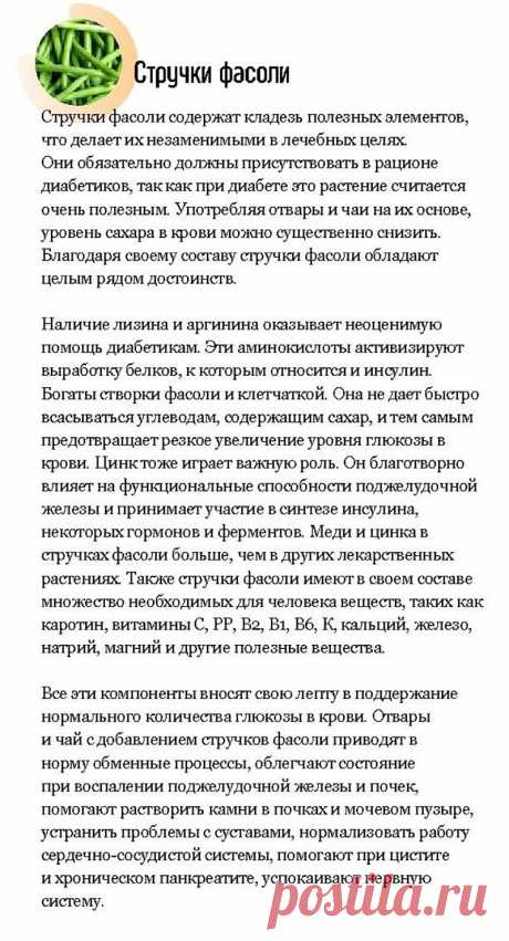 Стручки фасоли при диабете