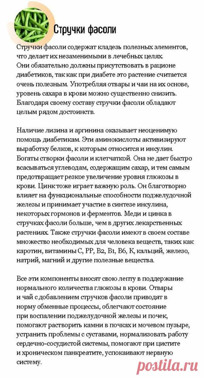 Стручки фасоли при диабете
