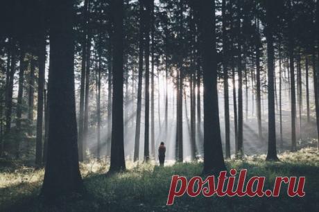 Таинства природы