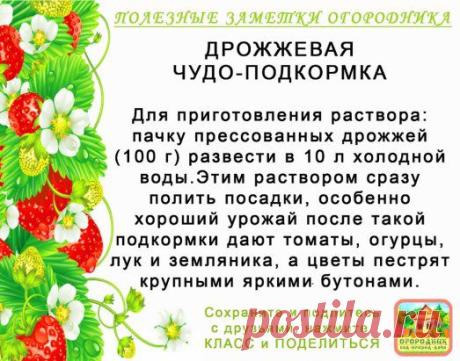КОПИЛОЧКА ОГОРОДНИКА!
Сохраните и поделитесь с друзьями!