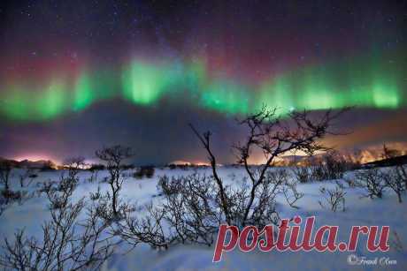 Фотографии пользователя Frank