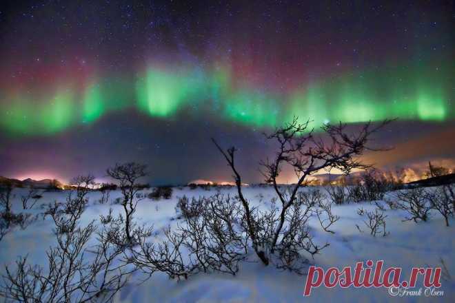 Фотографии пользователя Frank