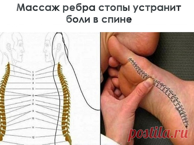 4 непрочитанных чата