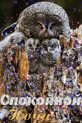 Спокойной  ночи