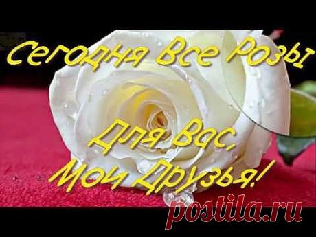 Розы! Моим Друзьям!Розы для Друзей!
Роза - Царица цветов! Розу любили, воспевали и даже преклонялись с незапамятных времен.
О ней поют Поэты всех веков.
Нет в мире ничего нежней и краше, 
Чем этот сверток алых лепестков,
Раскрывшийся благоуханной чашей.
Заказать видео и видео заставку можно здесь:
https://goo.gl/BWpCz  
Примеры видео: https://www.youtube.com/playlist?list=PL_4A4gTsdWxAhOceDqJovX5uKrobzM3c4