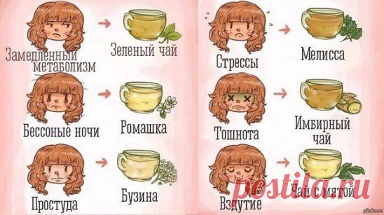 ОТВАРЫ И ЧАИ