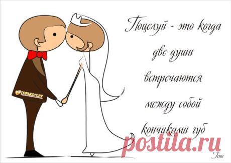 Плакаты с женихом и невестой | Статьи