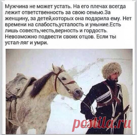 КавказСегодня