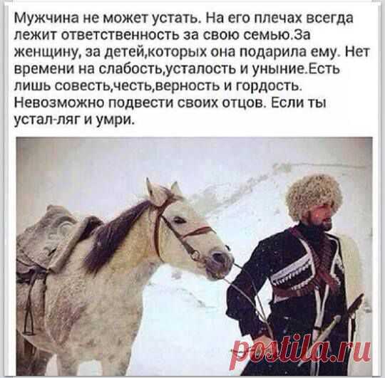 КавказСегодня
