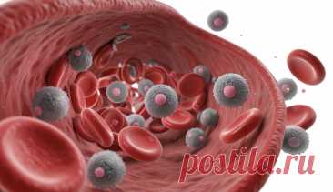 Состав крови человека: полный обзор компонентов и их функций