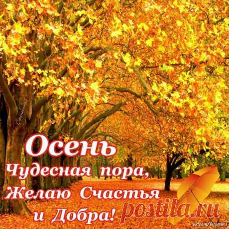ОСЕНЬ чудесная пора,Желаю Счастья и Добра!