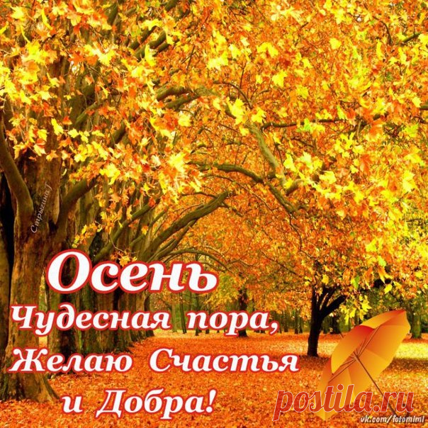 ОСЕНЬ чудесная пора,Желаю Счастья и Добра!