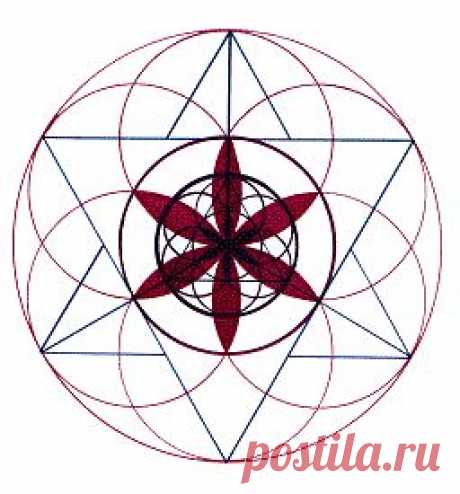 Создание и развитие нашего Личного Цветка Жизни