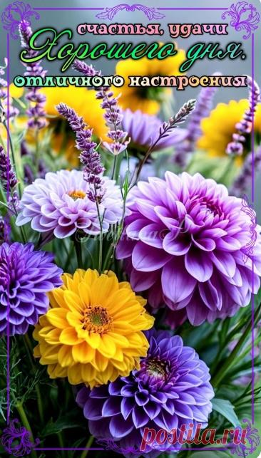 С добрым утром Привет Здрасте Добрый день