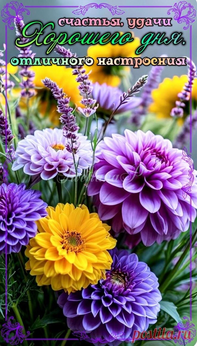 С добрым утром Привет Здрасте Добрый день