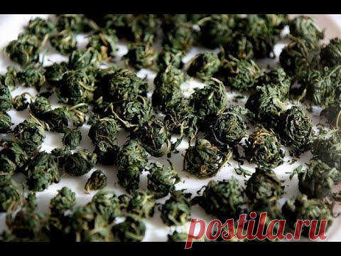 Ферментированный чай из листьев вишни!