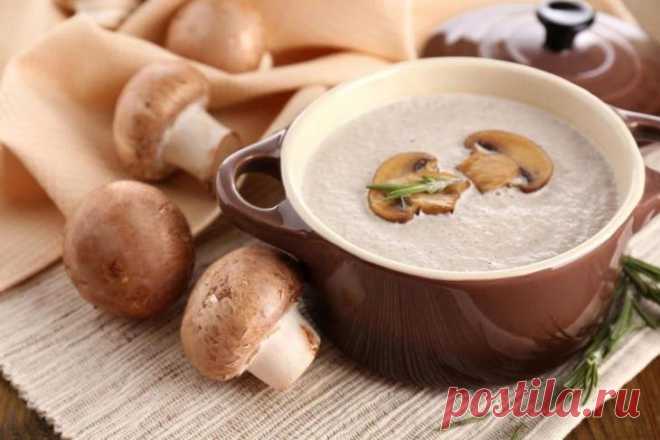 15 новейших кулинарных советов, без которых не обойтись на кухне Нет никакой разницы, начинающий вы кулинар или наученная опытом хозяйка, вы всё равно не сможете держать все рецепты в голове. К тому же, найдя подходящий рецепт блюда, не всегда понятно в какой после...