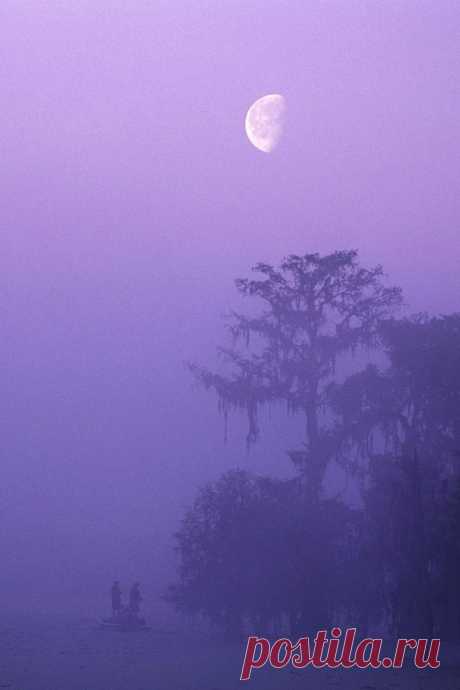 Деликатес, и даже хрупкости