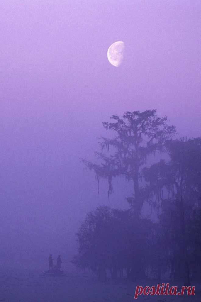 Деликатес, и даже хрупкости