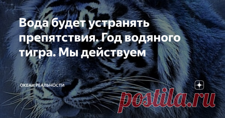 Вода будет устранять препятствия. Год водяного тигра. Мы действуем Дорогие друзья, предсказания начинают действовать. Приближается новое время. Время свершений и работы над собой. Казалось бы нам перегородили путь. Но это только кажется. Хотя туману нагнали густого. А свет торжественно и величаво поднимает завесу. У него есть маленькие лучики, которые нет - нет да и погладят тебе щеку, кому - то покажут тропинку  в лесу или согреют малыша. И в эти моменты мы понимаем, что ...