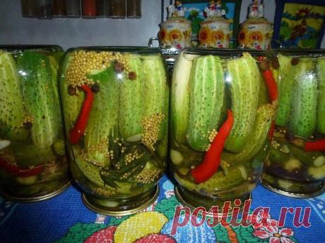 Маринованные огурцы с семенами горчицы от Светланы Вакула (Сусанина)

Огурцы помыть отрезать кончики и залить на пару часов водой.Подготовить пряности зонтики укропа,листья хрена,листья смородины,​веточки тархуна,зубчики чеснока.Заполнить банки с огурцами,положить зубчики чеснока,один сладкий перчик,десертную ложку горчицы,душистый перец горошком,веточку укропа,веточку тархуна,лист смородины,лист хрена.Залить кипятком,дать постоять 10 минут,слить.Маринад: на 3 литра воды 3...