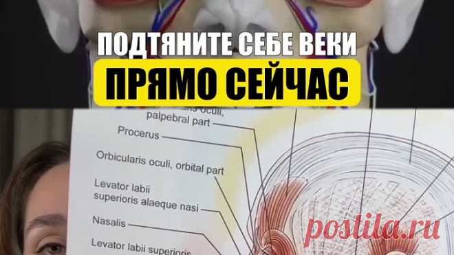 Видео Начните готовить лицо к новому году с моим открытым сборником тренировок https://vk.me/public184480182 | OK.RU