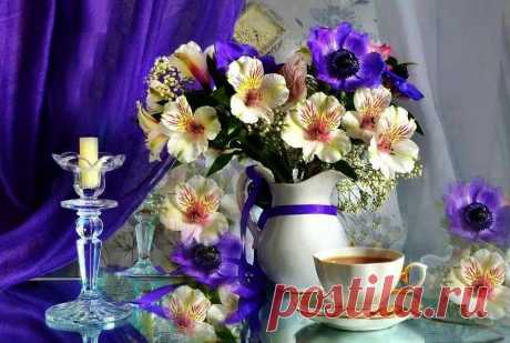(5) Elifce Örgüler