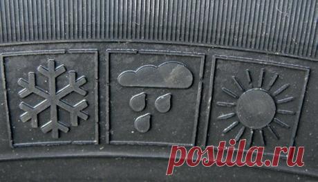 Как меня за всесезонную резину зимой оштрафовать хотели | Заметки провинциального юриста | Яндекс Дзен