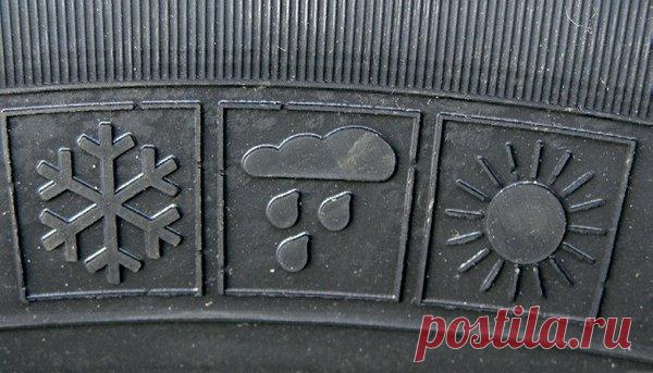 Как меня за всесезонную резину зимой оштрафовать хотели | Заметки провинциального юриста | Яндекс Дзен