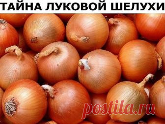 НЕ ВЫБРАСЫВАЙТЕ ЛУКОВУЮ ШЕЛУХУ!

Отвары луковой шелухи эффективно применяются как отхаркивающее, слабительное, мочегонное, желчегонное, спазмолитическое, витаминное, противомикробное, сосудоукрепляющее средство.

Замучили частые ангины?
Залейте луковую шелуху кипятком, процедите и употребляйте для полоскания.

Насморк (аллергический и простудный)?
В кипящую воду всыпьте 4 столовые ложки измельченной луковой шелухи и дышите над паром в течение 3-5 минут.

Кашель?
Залейте 2 ...