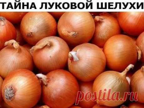 НЕ ВЫБРАСЫВАЙТЕ ЛУКОВУЮ ШЕЛУХУ!

Отвары луковой шелухи эффективно применяются как отхаркивающее, слабительное, мочегонное, желчегонное, спазмолитическое, витаминное, противомикробное, сосудоукрепляющее средство.

Замучили частые ангины?
Залейте луковую шелуху кипятком, процедите и употребляйте для полоскания.

Насморк (аллергический и простудный)?
В кипящую воду всыпьте 4 столовые ложки измельченной луковой шелухи и дышите над паром в течение 3-5 минут.

Кашель?
Залейте 2 ...