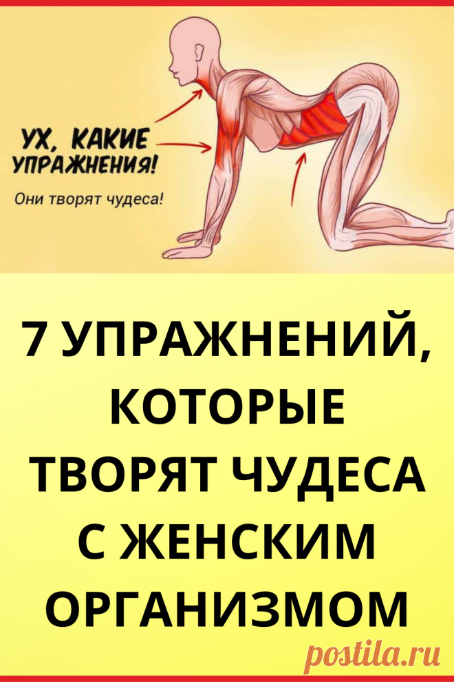 Упражнения, которые творят чудеса с женским организмом