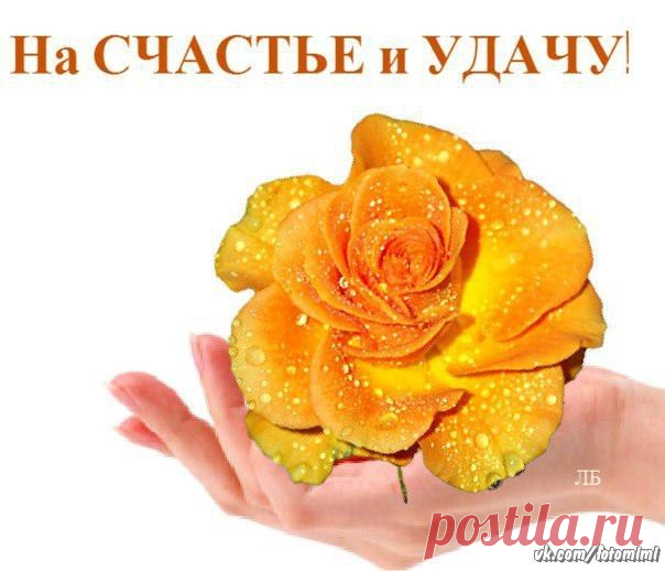 * Подарок * — Открытки и приколы