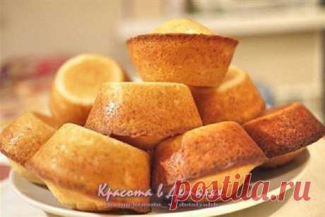 Мои закладки